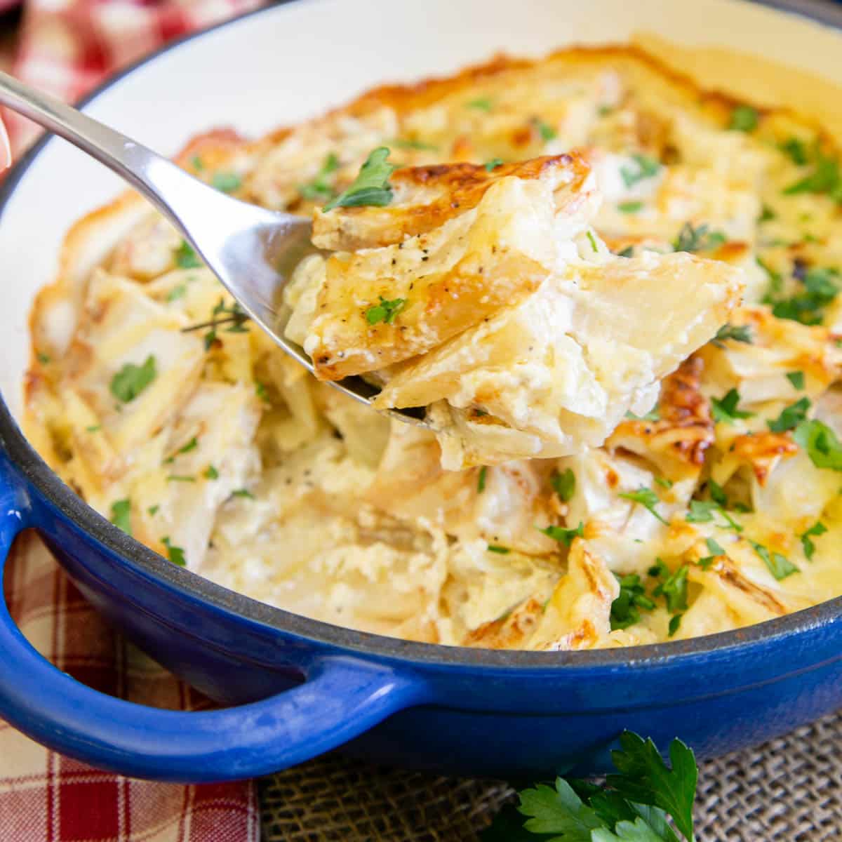 Celeriac Gratin
