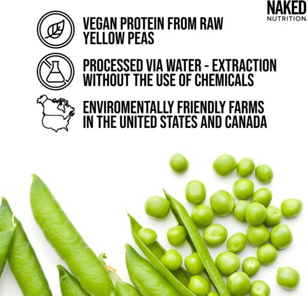 Naked Pea - 2LB 100% Pea Protein Powder from North American Farms - Unflavored Vegan Pea Protein Isolate - Plant Protein Powder, Easy to Digest - 30 Servings