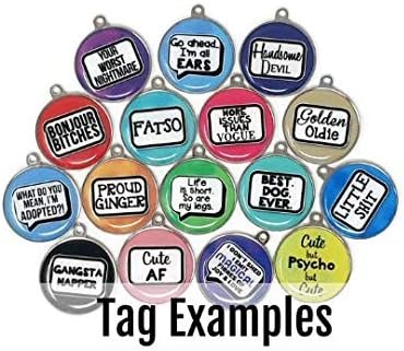 Wag-A-Tude Tags I Need A Special Diet and Medication Pet Tag for Dogs and Cats (Small)