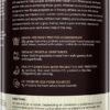 TrueFit Gut Healthy Protein Powder, Grass-Fed Whey Meal Replacement Shake with Prebiotics, Probiotics, & Organic Superfoods, Keto Friendly, Gluten Free