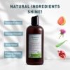 Just Nutritive Gray Hair Shampoo | Gray Hair Treatment | Just Natural Hair Care | Natural Shampoo 16 Oz