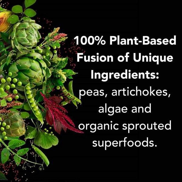 PlantFusion Complete Vegan Protein Powder - Plant Based Protein Powder with BCAAs, Digestive Enzymes and Pea Protein - Keto, Gluten Free, Soy Free, Non-Dairy, No Sugar, Non-GMO - Vanilla Bean 5lb Bulk