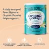 Four Sigmatic Organic Vegan Protein Powder | 18g Plant-Based Protein per Serving | Gluten Free, Dairy Free, Soy Free, Non-GMO with No Filler Ingredients | 21.16oz, 15 Servings | Sweet Vanilla