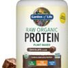 Organic Vegan Chocolate Protein Powder - Garden of Life – 22g Complete Plant Based Raw Protein & BCAAs Plus Probiotics & Digestive Enzymes for Easy Digestion, Non-GMO Gluten-Free, Lactose Free 1.5 LB