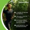 NaturesPlus SPIRU-TEIN, Vanilla - 2.12 lbs - Spirulina Protein Powder - Vitamins & Minerals for Energy - Vegetarian, Gluten Free - 32 Servings