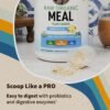 Garden of Life Meal Replacement Shakes, Vegan Protein Powder, Raw Organic Protein Powder, Vanilla Protein Powder with Plant Based Pea Protein, Sprouts, Greens, Probiotics, Dairy Free 28 Servings