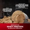 Whey Protein Powder | MuscleTech Nitro-Tech Whey Gold Protein Powder | Whey Protein Isolate Smoothie Mix | Protein Powder for Women & Men | Strawberry Protein Powder, 5 lb (69 Servings)-package varies