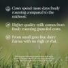 Naked Vanilla Whey Protein 1Lb, Only 3 Ingredients, All Natural Grass Fed Whey Protein Powder + Vanilla + Coconut Sugar- GMO-Free, Soy Free, Gluten Free. Aid Muscle Growth, 12 Servings