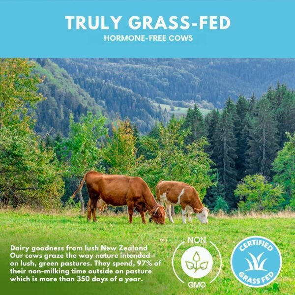 Opportuniteas Grass Fed Whey Isolate Protein Powder - Unflavored 28g Protein Powder Without Artificial Sweeteners, Hormone-Free Cows, Non GMO - 1lb