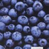 Nutrition: Concepts and Controversies